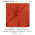 �A�C�e���C���[�W